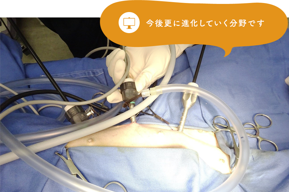 腹腔鏡手術（鏡視下手術）：今後更に進化していく分野です